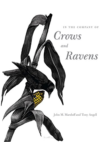 In the Company of Crows and Ravens (9780300122558) by John M. Marzluff; Tony Angell