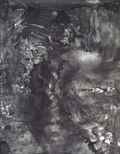 Beispielbild fr Jasper Johns: Drawings zum Verkauf von A Cappella Books, Inc.
