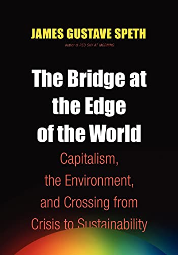 Stock image for The Bridge at the Edge of the World for sale by Half Price Books Inc.