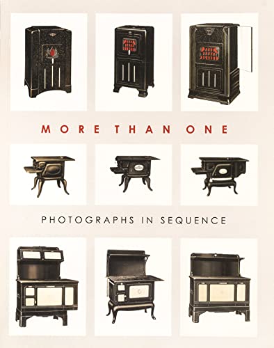 9780300149302: More than One: Photographs in Sequence (Princeton University Art Museum Monograph Series)