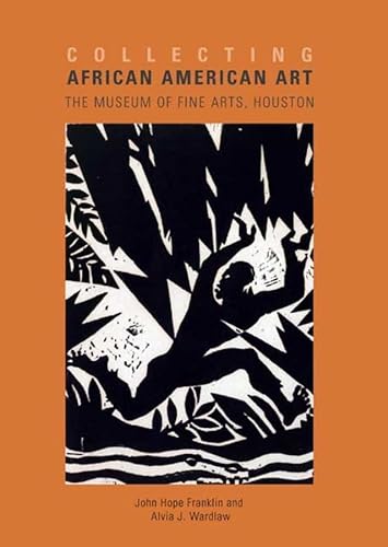 9780300152913: Collecting African American Art: The Museum of Fine Arts, Houston (Elgar New Horizons in Business Analytics series)
