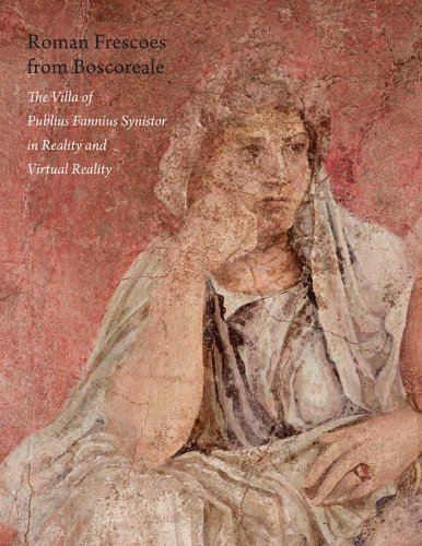 Stock image for Roman Frescoes from Boscoreale: The Villa of Plubius Fannius Synistor in Reality and Virtual Reality for sale by Irish Booksellers