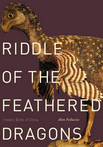 Beispielbild fr Riddle of the Feathered Dragons: Hidden Birds of China zum Verkauf von WorldofBooks