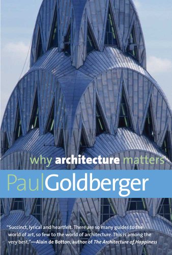 9780300168174: Why Architecture Matters (Why X Matters Series)