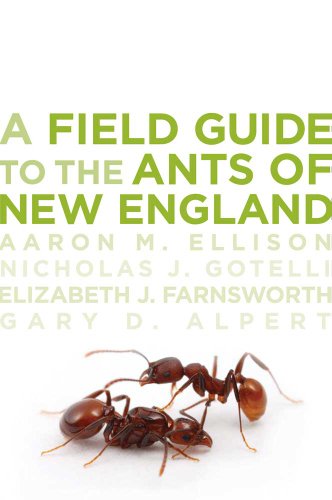 Beispielbild fr A Field Guide to the Ants of New England zum Verkauf von HPB-Emerald