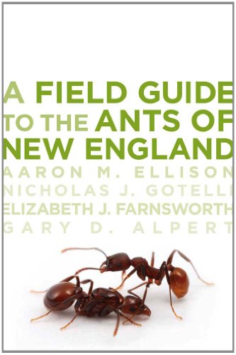 Stock image for A Field Guide to the Ants of New England for sale by Z & Z Books
