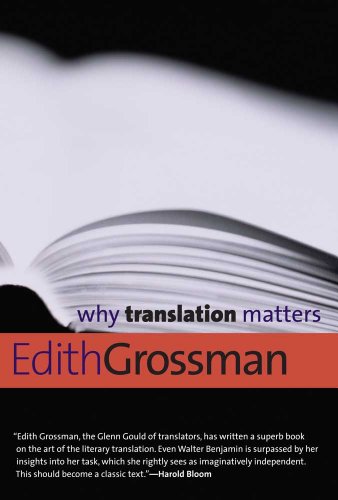 Stock image for Why Translation Matters for sale by Better World Books