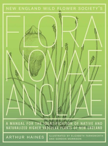 New England Wild Flower Society's Flora Novae Angliae: A Manual for the Identification of Native and Naturalized Higher Vascular Plants of New England (9780300171549) by Haines, Arthur