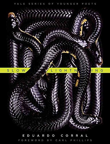 9780300178937: Slow Lightning: Volume 106 (Yale Series of Younger Poets)