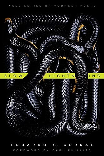 9780300178937: Slow Lightning – Yale Series of Younger Poets