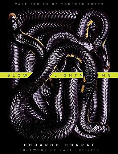 9780300178937: Slow Lightning (Volume 106) (Yale Series of Younger Poets)