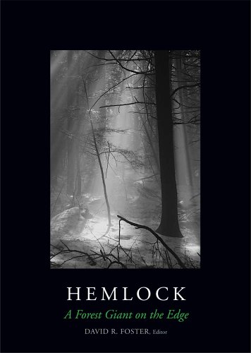 Stock image for Hemlock: A Forest Giant on the Edge for sale by Goodwill Books