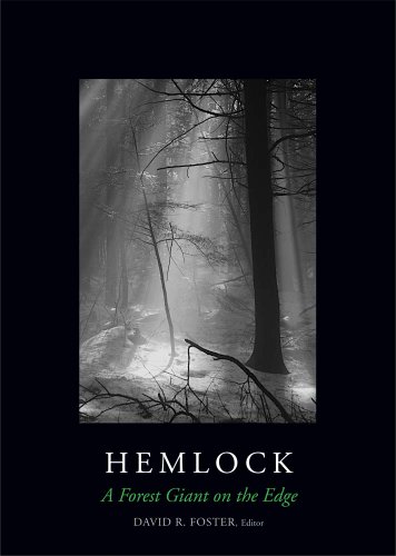 Stock image for Hemlock: A Forest Giant on the Edge for sale by Sequitur Books