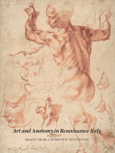 Stock image for Art and Anatomy in Renaissance Italy Images from a Scientific Revolution for sale by David's Books