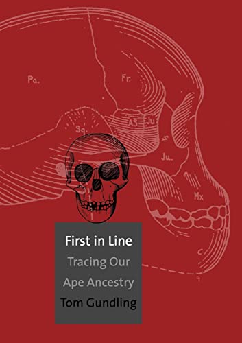 9780300180176: First in Line: Tracing Our Ape Ancestry