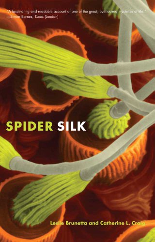 Beispielbild fr Spider Silk zum Verkauf von Blackwell's