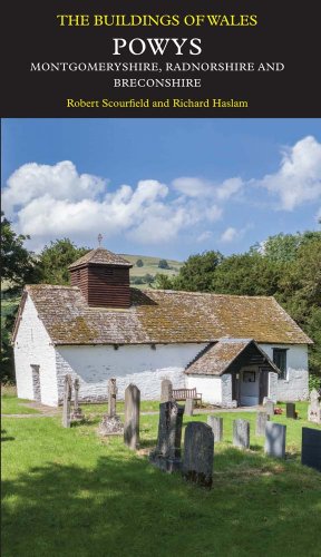 Beispielbild fr Powys zum Verkauf von Blackwell's