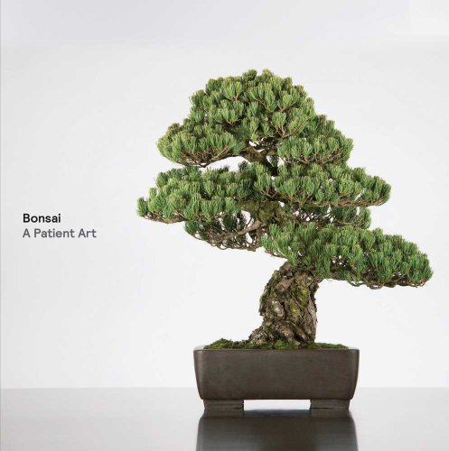 Stock image for Bonsai: A Patient Art for sale by ThriftBooks-Atlanta