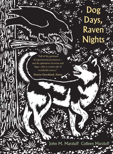 Beispielbild fr Dog Days, Raven Nights zum Verkauf von Better World Books