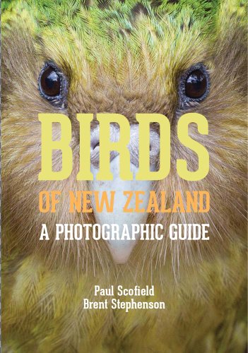 Stock image for Birds of New Zealand: A Photographic Guide for sale by PlumCircle