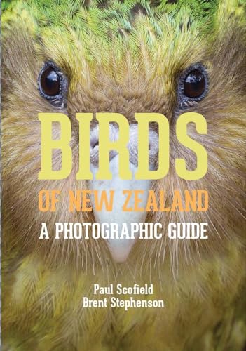 Stock image for Birds of New Zealand: A Photographic Guide for sale by PlumCircle