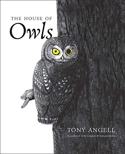 Beispielbild fr The House of Owls zum Verkauf von Wonder Book