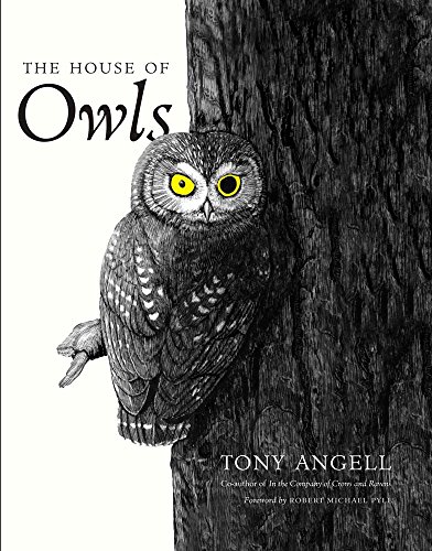 Stock image for The House of Owls for sale by Wonder Book