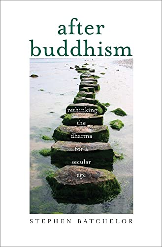 Beispielbild fr After Buddhism : Rethinking the Dharma for a Secular Age zum Verkauf von Better World Books