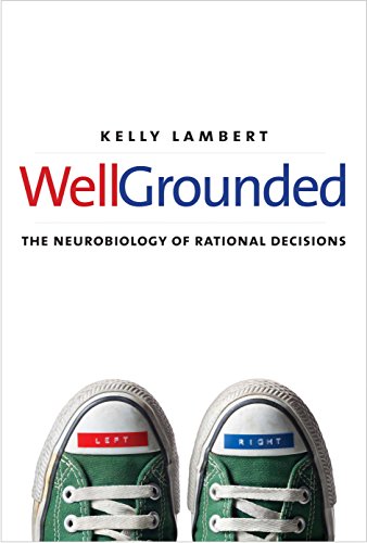 Imagen de archivo de Well-Grounded : The Neurobiology of Rational Decisions a la venta por Better World Books