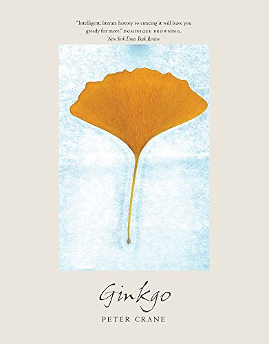 Beispielbild fr Ginkgo zum Verkauf von Blackwell's