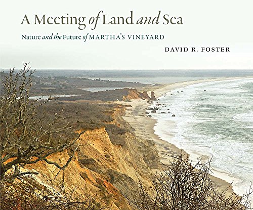 Stock image for A Meeting of Land and Sea: Nature and the Future of Martha's Vineyard for sale by ThriftBooks-Dallas