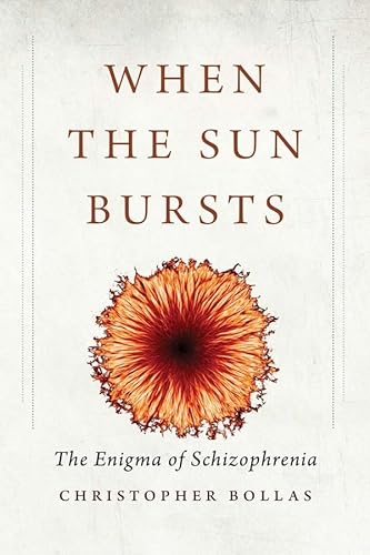 Beispielbild fr When the Sun Bursts : The Enigma of Schizophrenia zum Verkauf von Better World Books