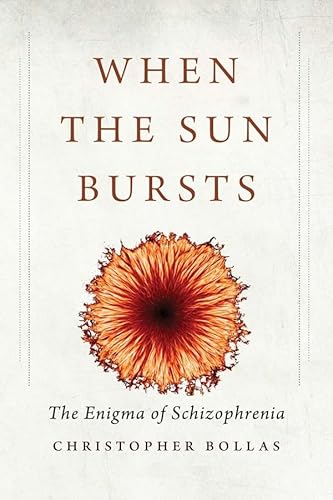 Imagen de archivo de When the Sun Bursts : The Enigma of Schizophrenia a la venta por Better World Books