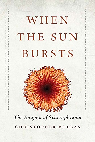Stock image for When the Sun Bursts : The Enigma of Schizophrenia for sale by Better World Books