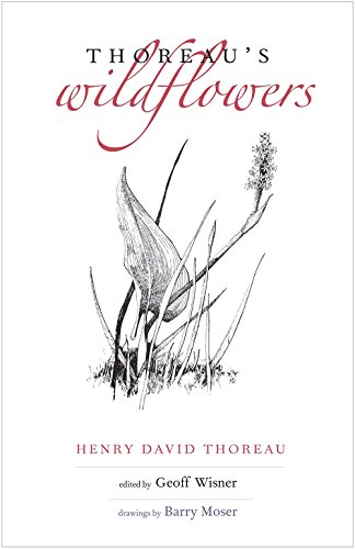 Beispielbild fr Thoreau's Wildflowers zum Verkauf von WorldofBooks