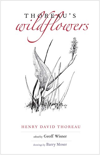 9780300214772: Thoreau's Wildflowers
