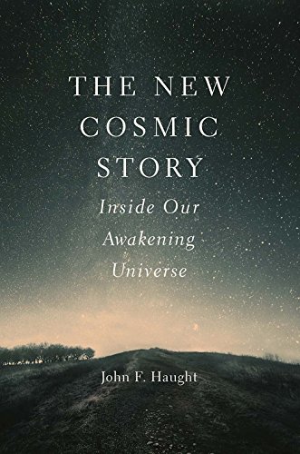 Stock image for The New Cosmic Story: Inside Our Awakening Universe for sale by SecondSale