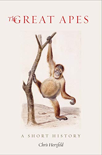 Imagen de archivo de The Great Apes : A Short History a la venta por Better World Books
