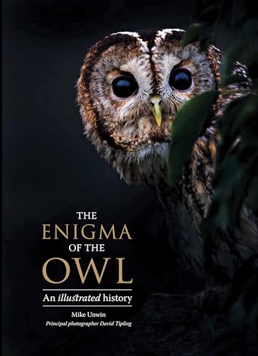 Imagen de archivo de The Enigma of the Owl: An Illustrated Natural History a la venta por Midtown Scholar Bookstore