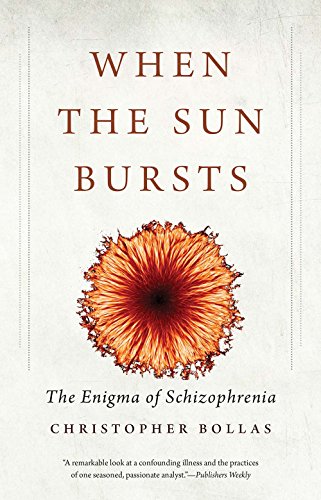 Beispielbild fr When the Sun Bursts: The Enigma of Schizophrenia zum Verkauf von Monster Bookshop