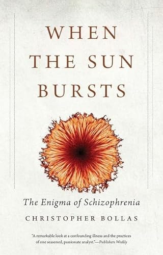 Imagen de archivo de When the Sun Bursts: The Enigma of Schizophrenia a la venta por Half Price Books Inc.