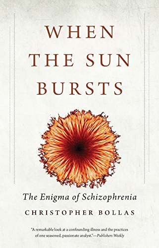 Stock image for When the Sun Bursts: The Enigma of Schizophrenia for sale by Orion Tech