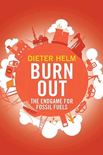 Imagen de archivo de Burn Out: The Endgame for Fossil Fuels a la venta por WorldofBooks