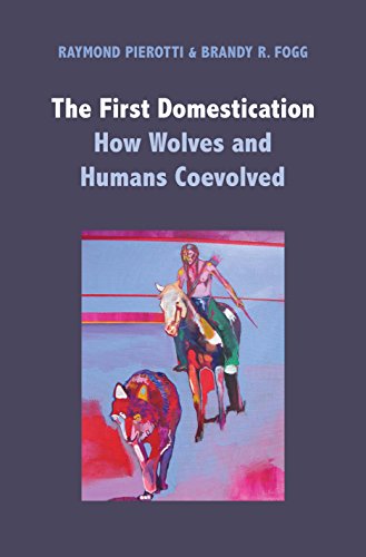 Stock image for The First Domestication : How Wolves and Humans Coevolved for sale by Better World Books: West