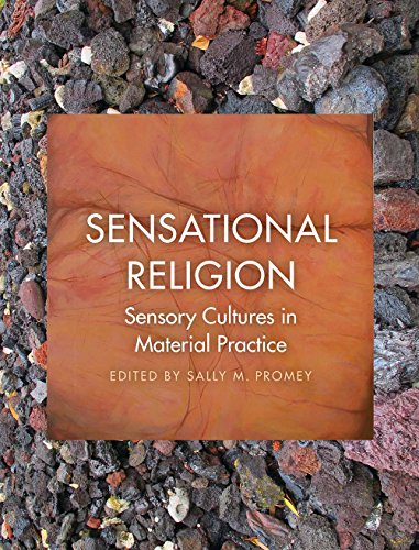 Imagen de archivo de Sensational Religion: Sensory Cultures in Material Practice a la venta por Midtown Scholar Bookstore