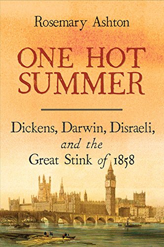 Beispielbild fr One Hot Summer: Dickens, Darwin, Disraeli, and the Great Stink of 1858 zum Verkauf von HPB Inc.