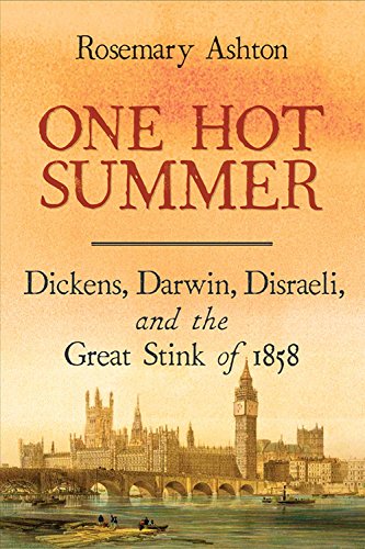 9780300227260: One Hot Summer: Dickens, Darwin, Disraeli, and the Great Stink of 1858