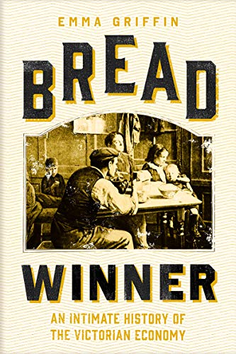 Imagen de archivo de Bread Winner: An Intimate History of the Victorian Economy a la venta por ThriftBooks-Atlanta