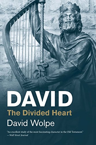 Stock image for David: The Divided Heart (Jewish Lives) for sale by BooksRun