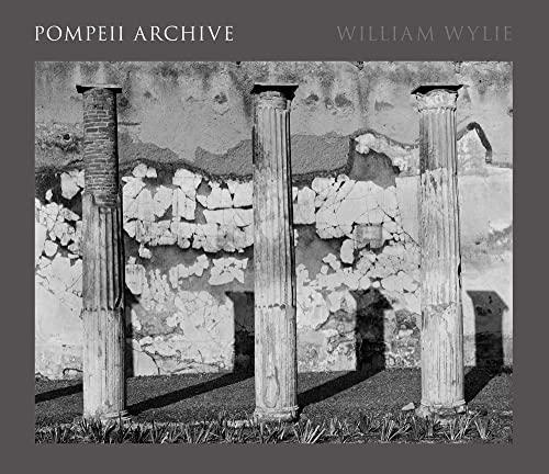 Imagen de archivo de Pompeii Archive a la venta por Book Trader Cafe, LLC